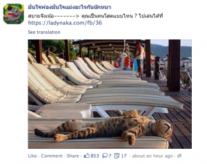 ตัวอย่าง Content Marketing ที่น่าจะประสบความสำเร็จ แต่ไม่น่าเอาอย่าง