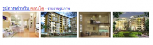 รูปภาพปรากฏหน้าแรกของผลลัพธ์การค้นหาบน Google
